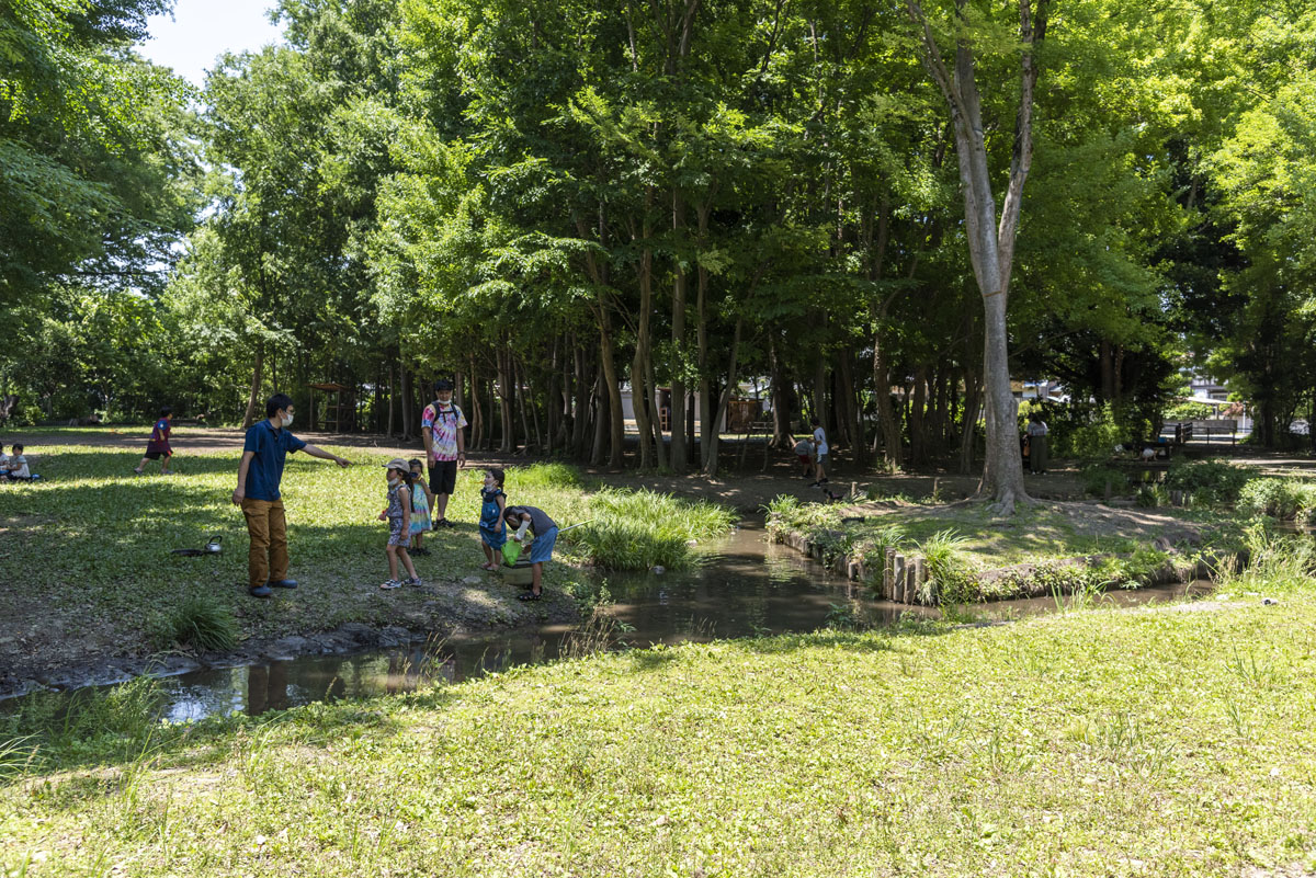 武蔵野美術大学学芸員課程博物館実習成果発表「みる　しる　あるく　ひののまち」開催