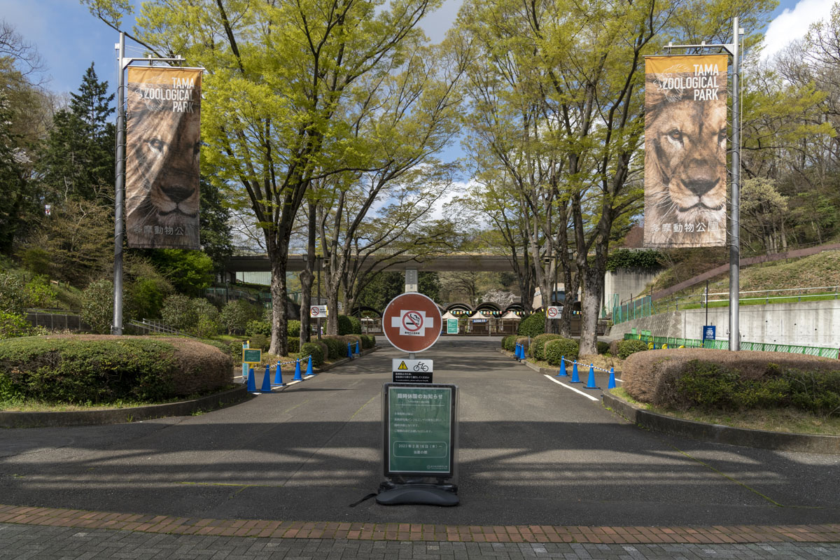 4月10日（(月)）から多摩動物公園は開園します