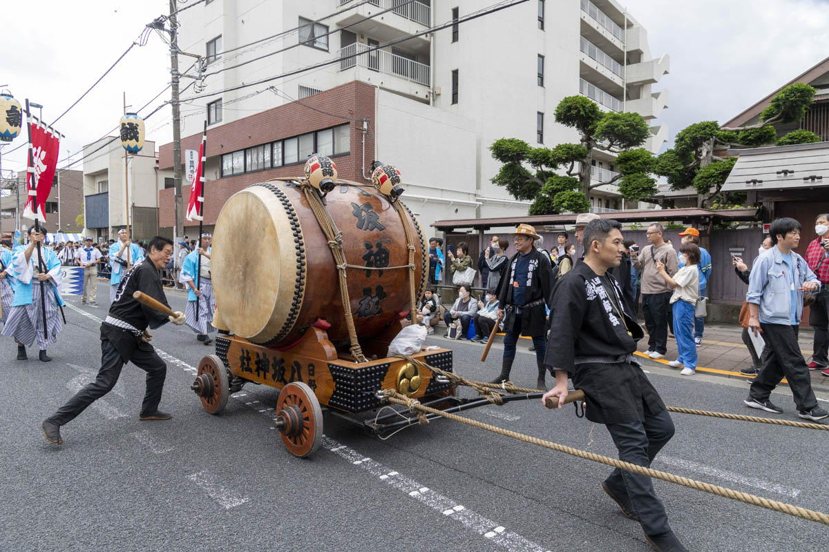 ひの新選組まつり「待たせたな！」、でも、雨には参った、ねっ。