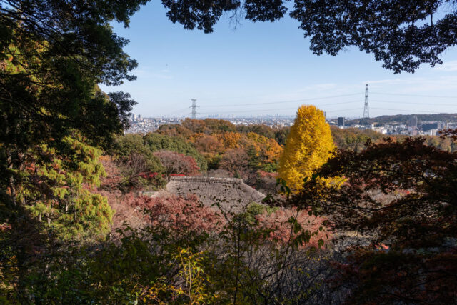 京王百草園「紅葉まつり」開催