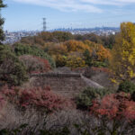 紅葉まつり（京王百草園）