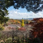 京 王 百 草 園「 紅 葉も み じま つ り 」 開 催