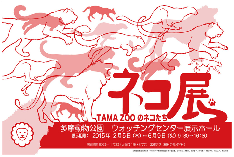 企画展示「ネコ展──TAMA ZOOのネコたち」開催中