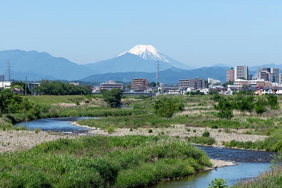 日野の自然