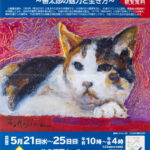「小島善太郎展～善太郎の魅力と生き方～」開催