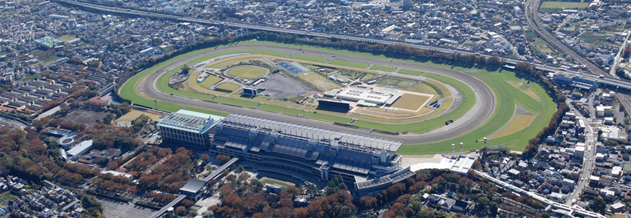 RA東京競馬場、25日第9レースは「日野特別」