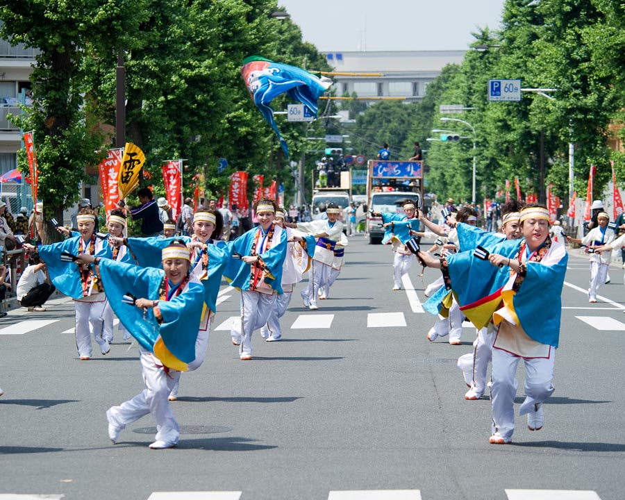 日野が燃えたひのよさこい祭